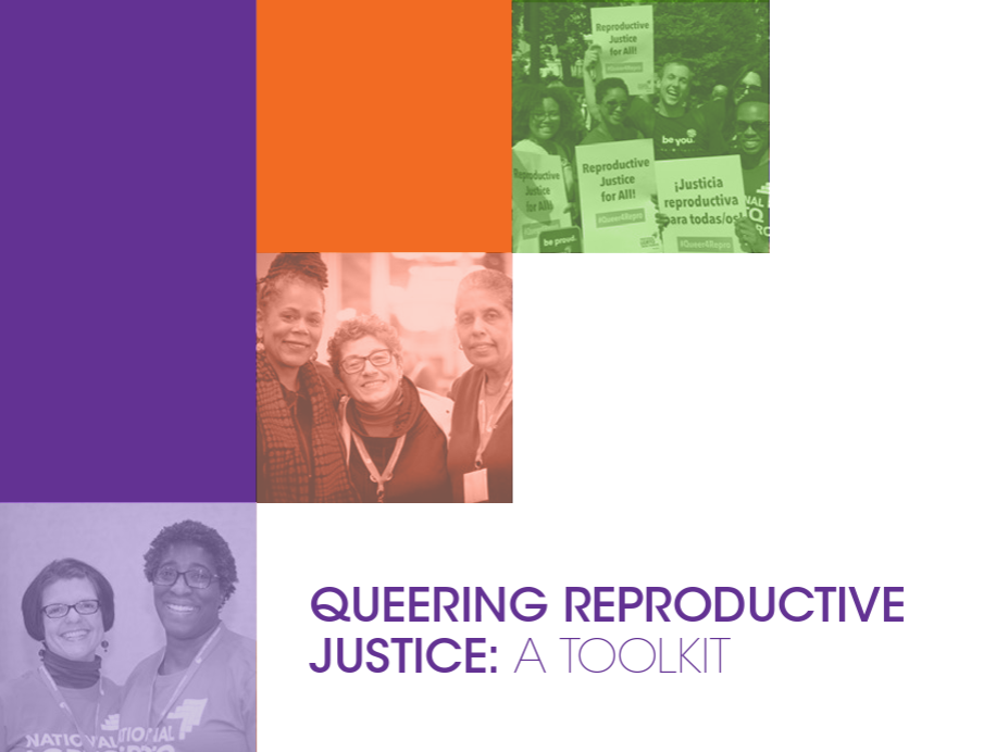 Queering Reproductive Justice A Toolkit