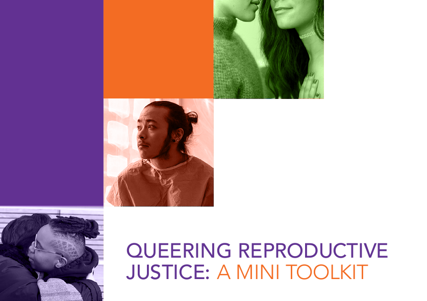 Queering Reproductive Justice Mini Toolkit cover