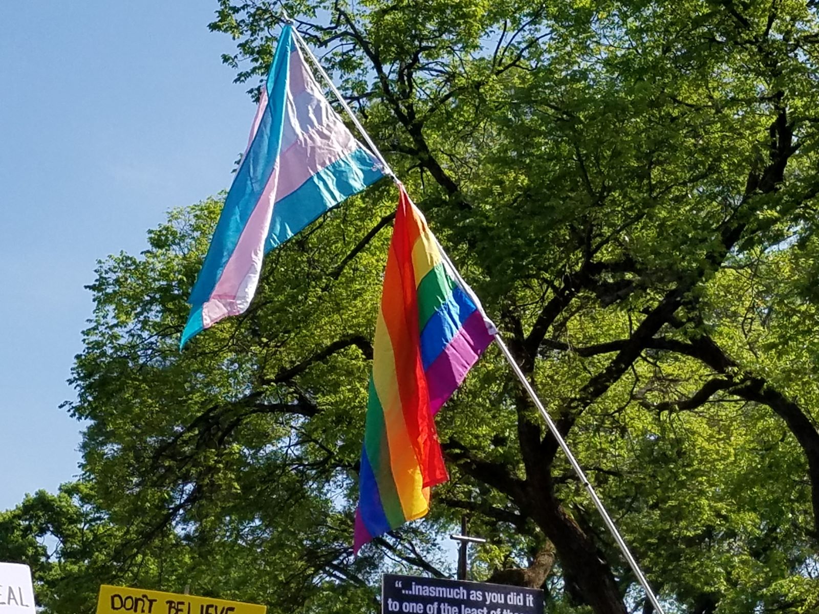 On a sunny day, against a background of tree full of green leaves, two flags wave from the same pole. The transgender flag is on top of the pole, with the rainbow flag beneath it.