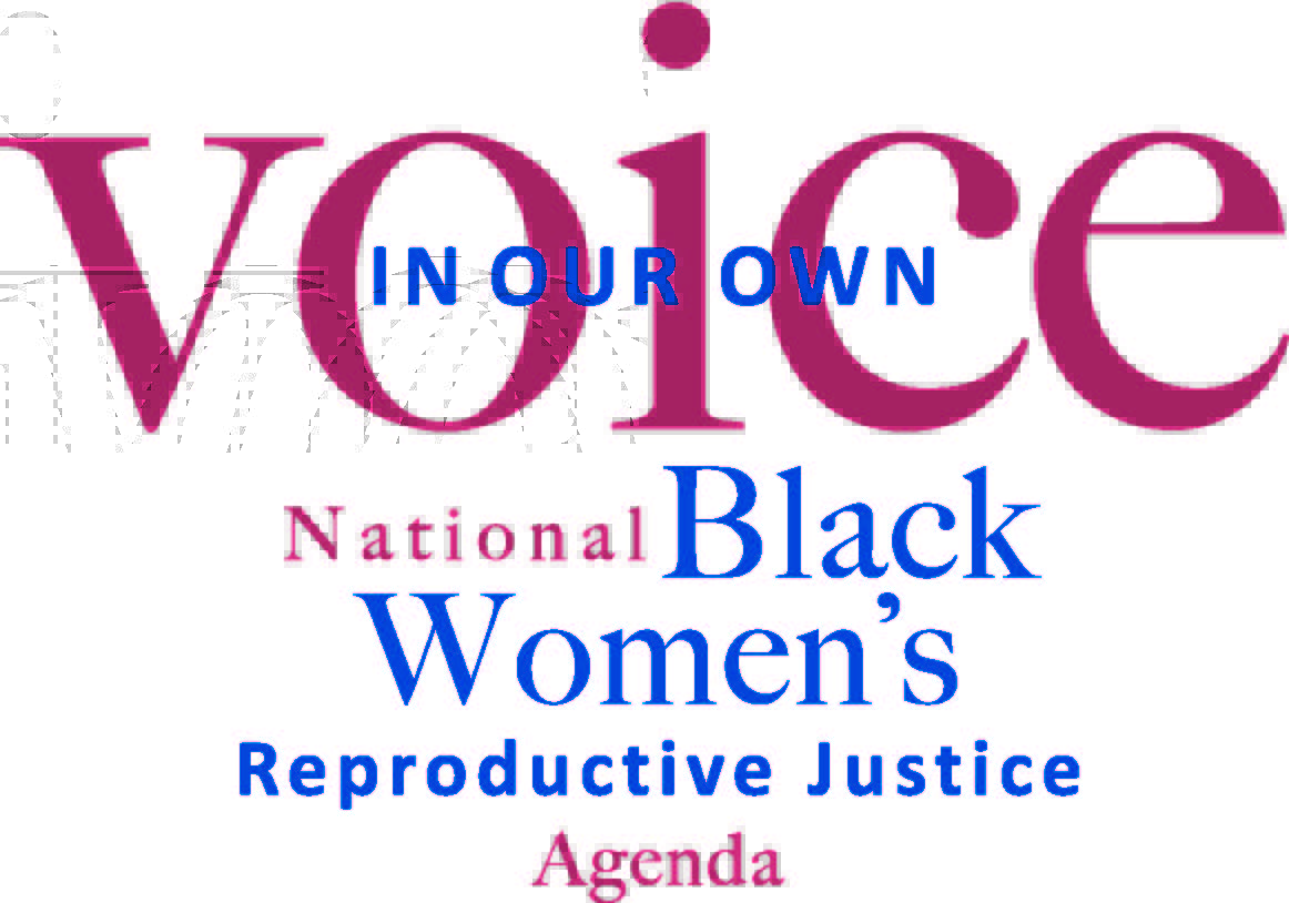 En nuestra propia voz: Agenda Nacional de Justicia Reproductiva para Mujeres Negras